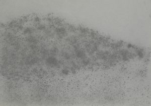 Křoví, 2009, uhel na papíře, 29,7x42cm