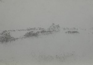 Křoví u pole, 2009, uhel na papíře, 29,7x42cm