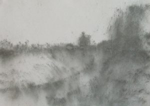 Louka u cesty, 2009, uhel na papíře, 29,7x42cm
