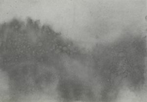 Mlha, ráno a les, 2009, uhel na papíře, 29,7x42cm