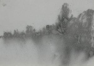 Mlhavé stromy, 2009, uhel na papíře, 29,7x42cm