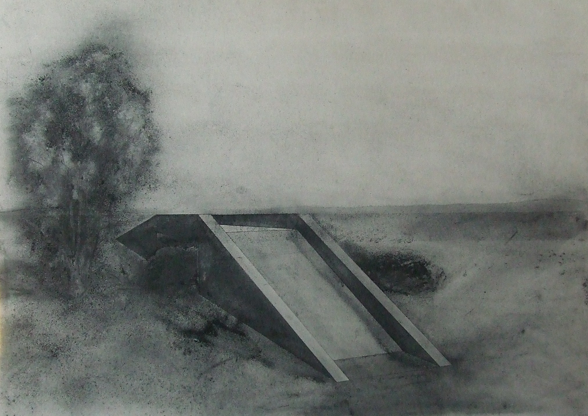Nadjezd přes křoví, 2009, uhel na papíře, 70x100cm