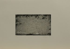 Zebří nebe, 2010, 24,5×34,5cm, Tisk z výšky ze suché barvy Náklad 4