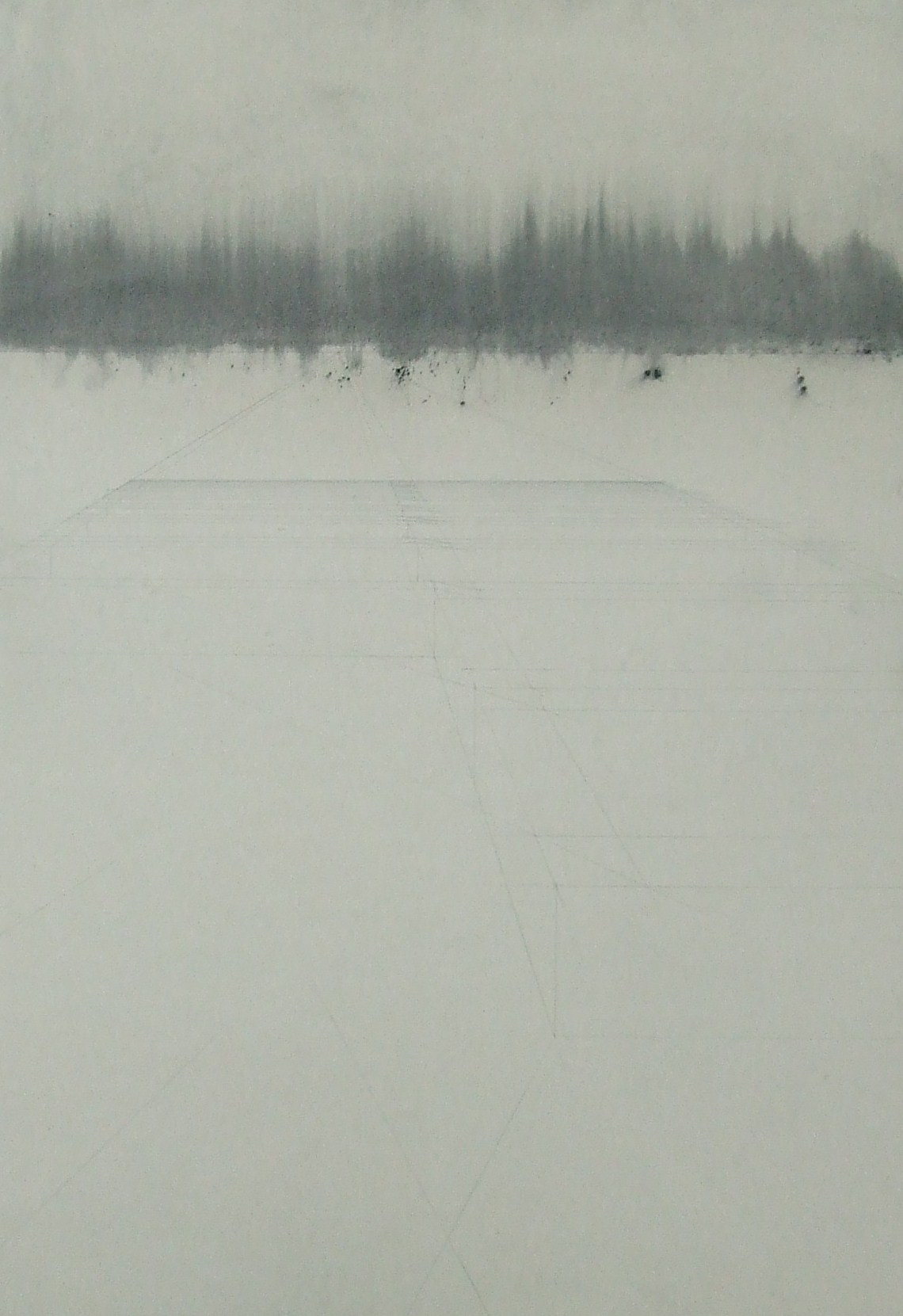 Bez názvu, 2011, uhel, tužka a tuž na papíře, 100x70cm