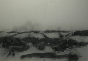 Divoká Šárka, 2013, uhel na kartonu, 70x100cm