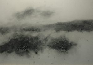 Křoví v krajině, 2013, uhel na kartonu, 70x100cm