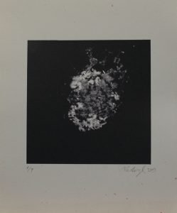 Supernova, 2013, 35,5×29,5cm, Sítotisk Náklad 9